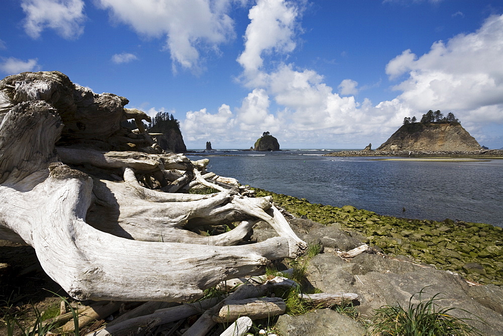 La Push, Olympic Peninsula, Washington State, United States of America, North America