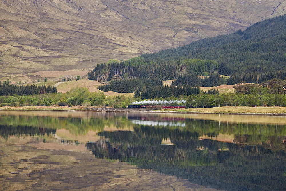 The Jacobite, Fort William to Mallaig railway, Loch Eil, Lochaber, Scotland, United Kingdom, Europe