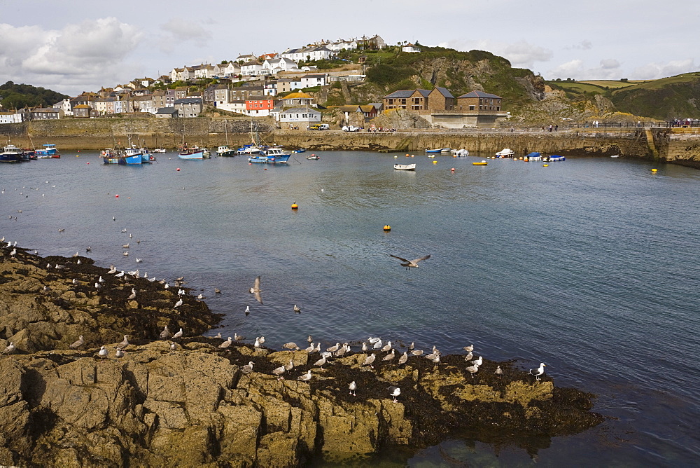 Mevagissey, St. Austell, Cornwall, England, United Kingdom, Europe