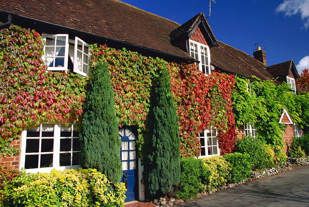 Creeper-clad cottages, Hursley, Hampshire, England, United Kingdom, Europe