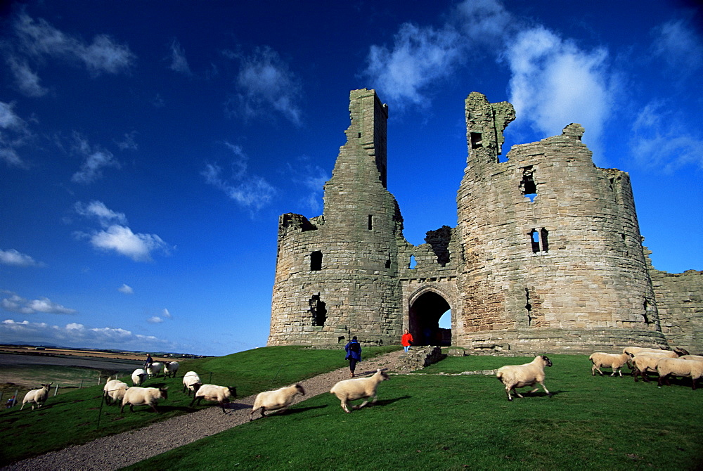 Dunstanburgh Castle, Northumbria, England, United Kingdom, Europe