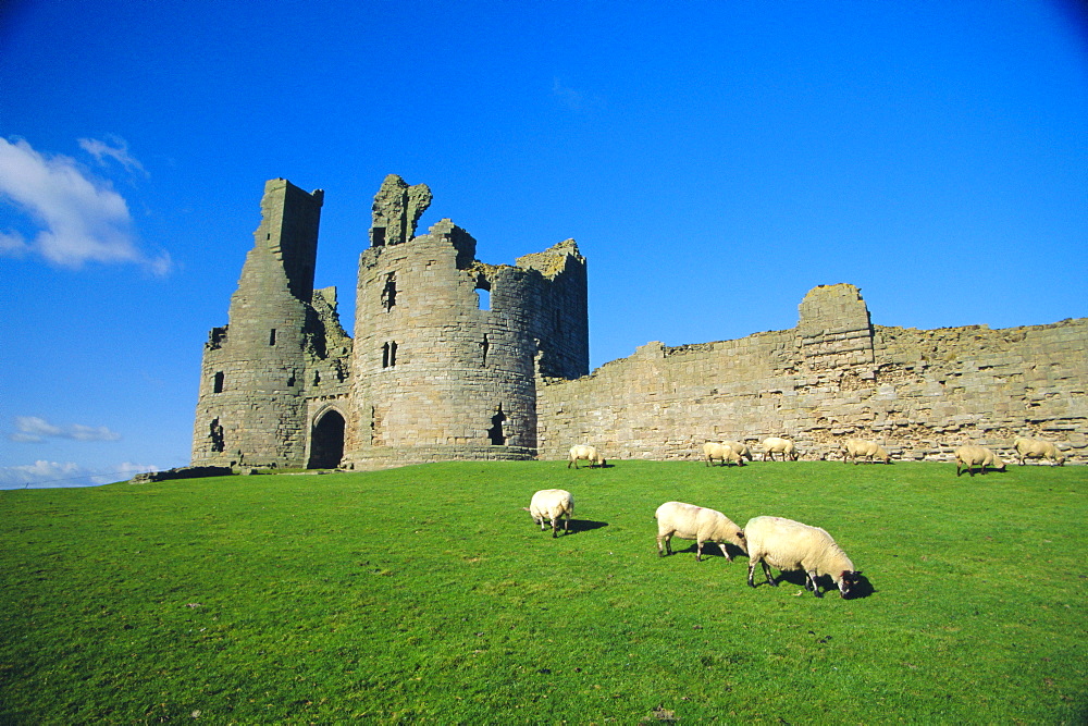 Dunstanburgh Castle, Northumbria, England, UK 