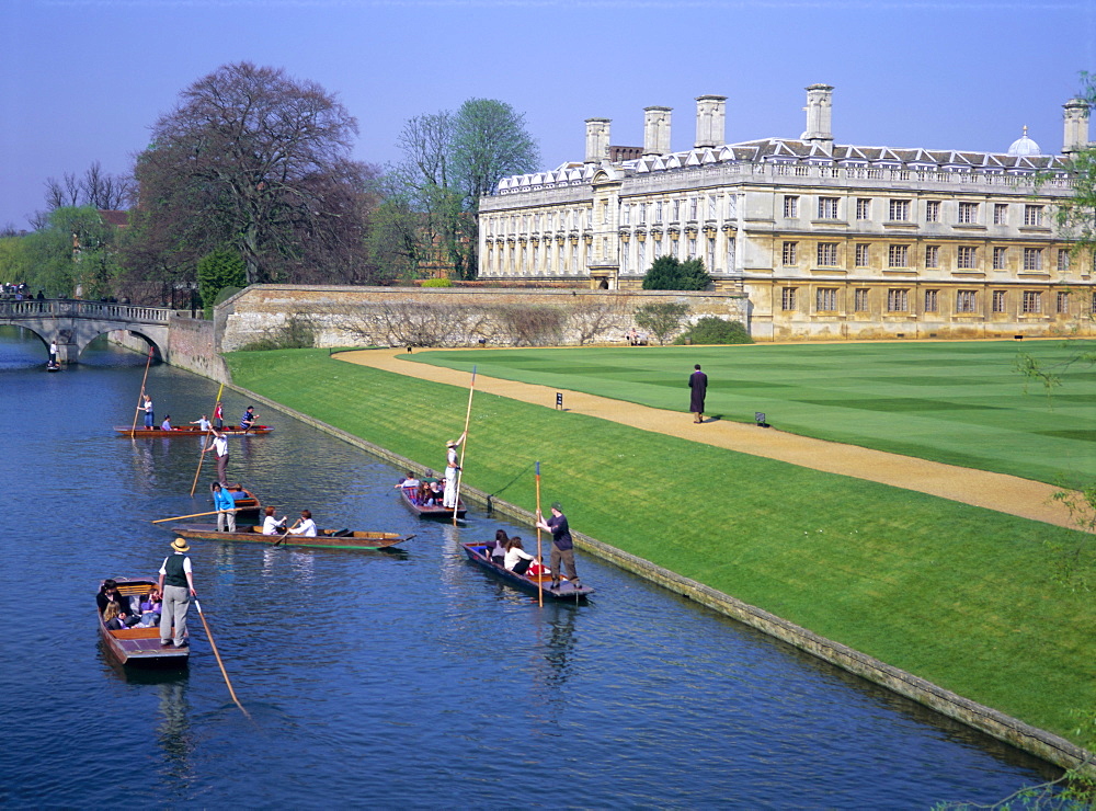 Punting on The Backs, River Cam, Clare College, Cambridge, Cambridgeshire, England, UK, Europe