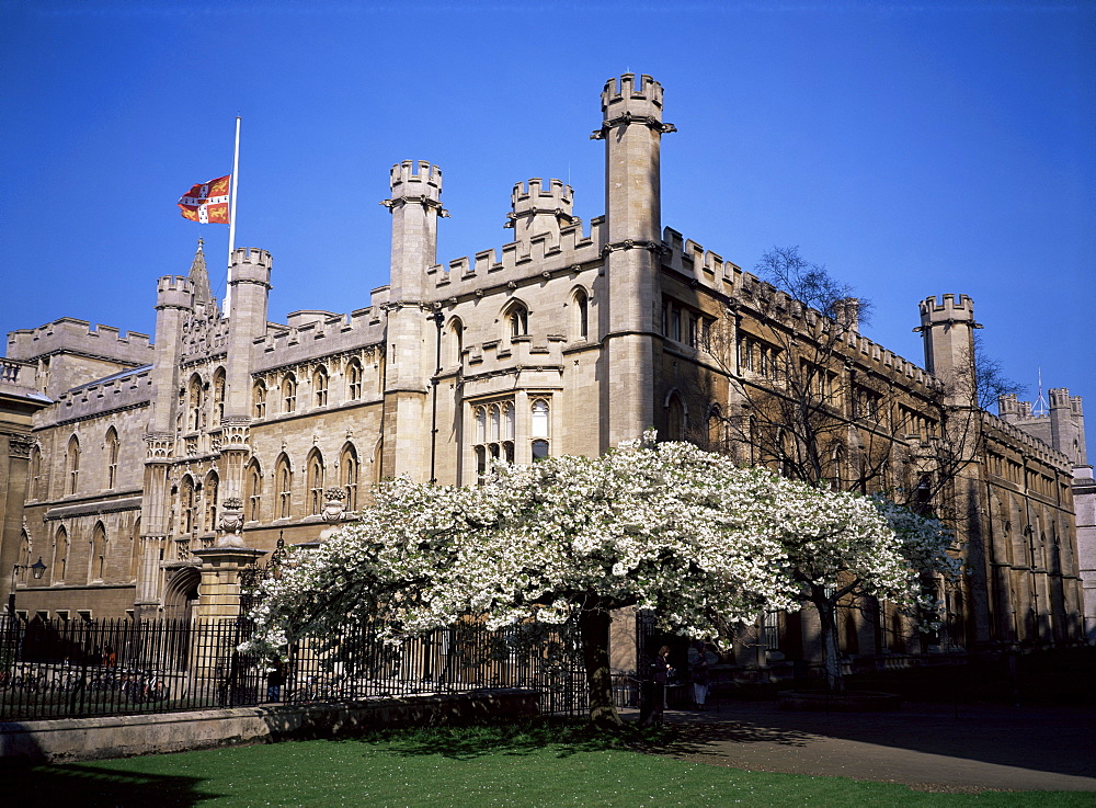 Old School buildings from Kings College, Cambridge, Cambridgeshire, England, United Kingdom, Europe