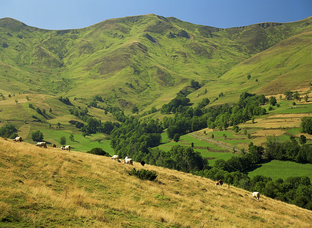 Landscape near Arreau, Midi Pyrenees, France, Europe