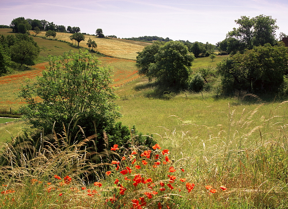 Landscape near Cahors, Lot, Midi Pyrenees, France, Europe