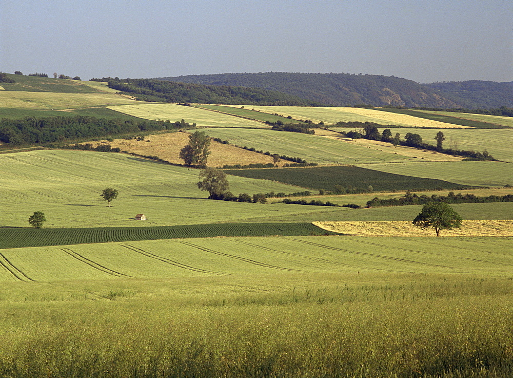 Agricultural landscape near Clermont Ferrand, Auvergne, France, Europe