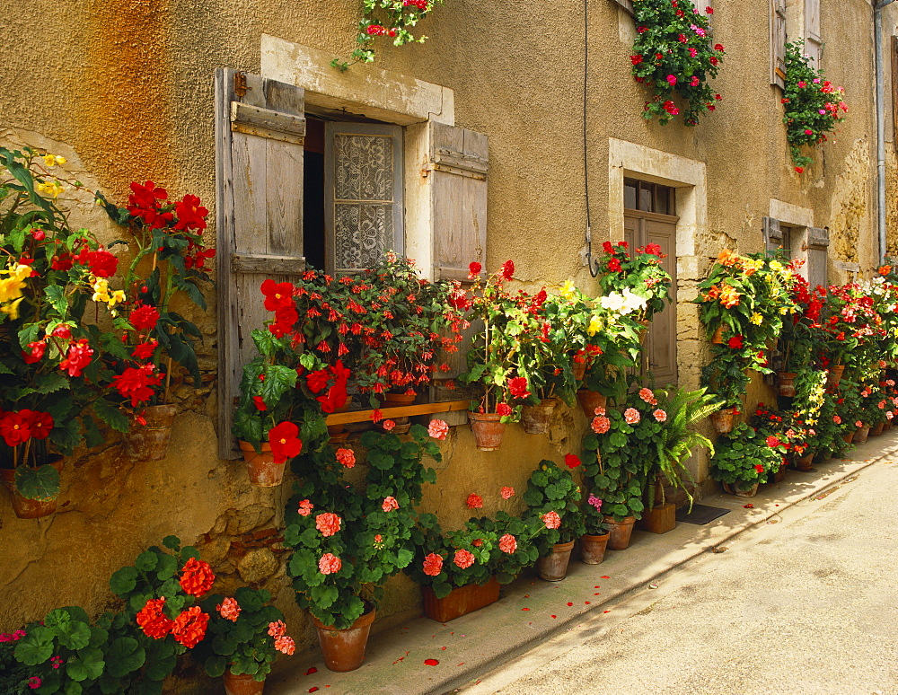 Exterior of a Rustic House Covered with Flowers, Landes, Aquitaine, France