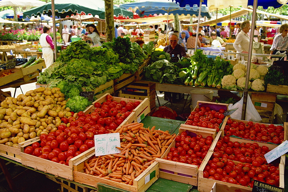 Vegetables including carrots, tomatoes and lettuce, for sale on market day at Euze, Gascoigne (Gascony), Midi-Pyrenees, France, Europe