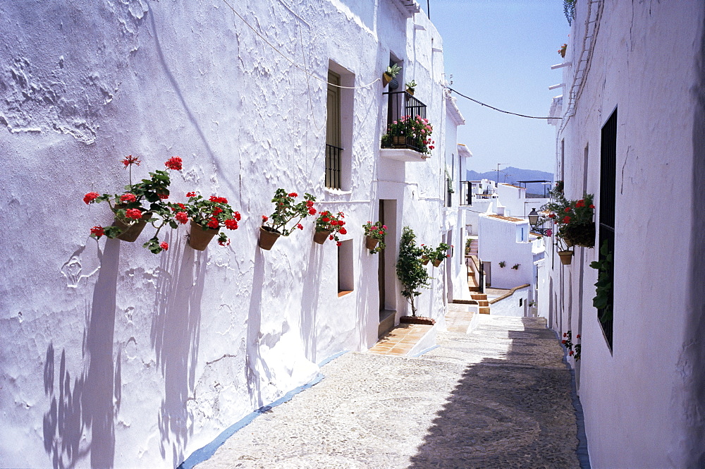 Village of Frigiliana, Malaga area, Andalucia, Spain, Europe