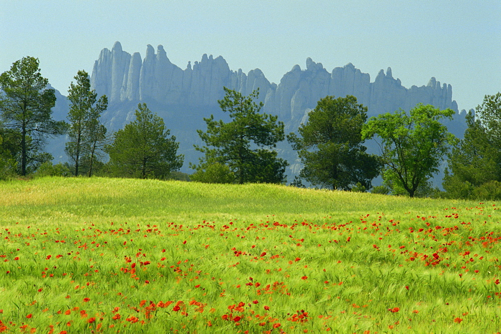 Sierra de Montserrat, Catalonia, Spain, Europe