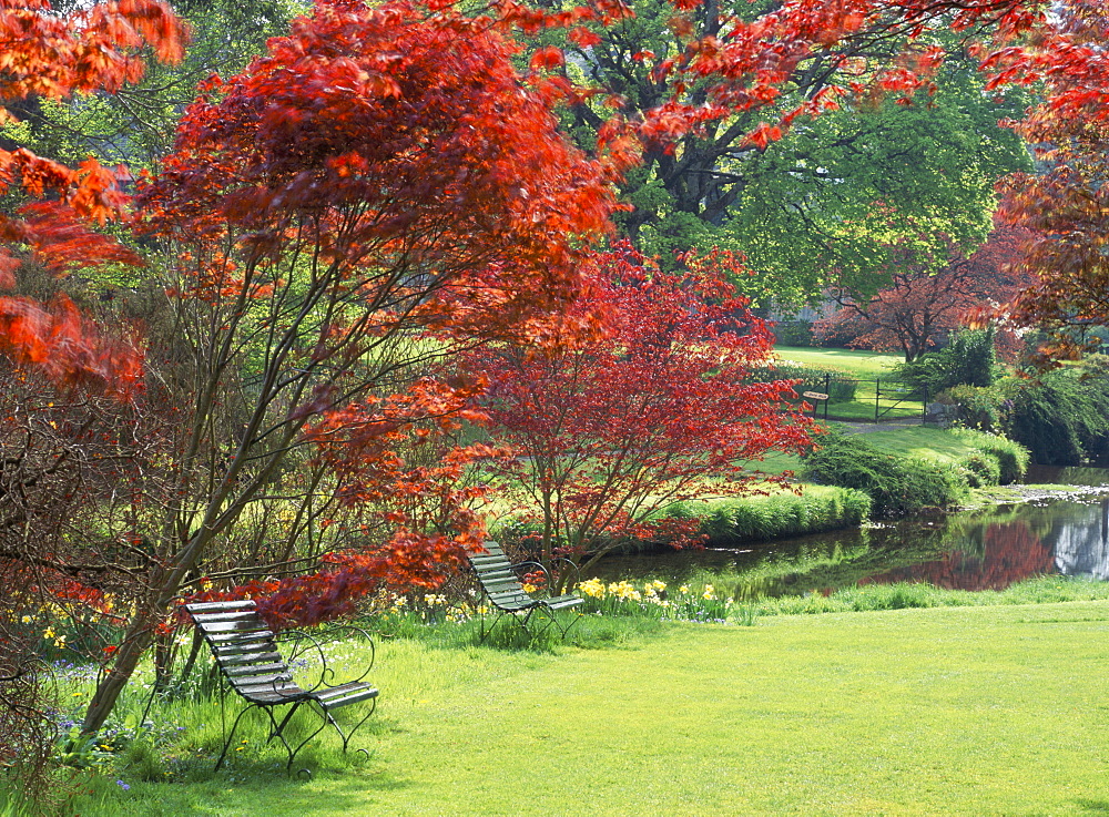 Mount Ushmore Gardens, County Wicklow, Leinster, Republic of Ireland (Eire), Europe