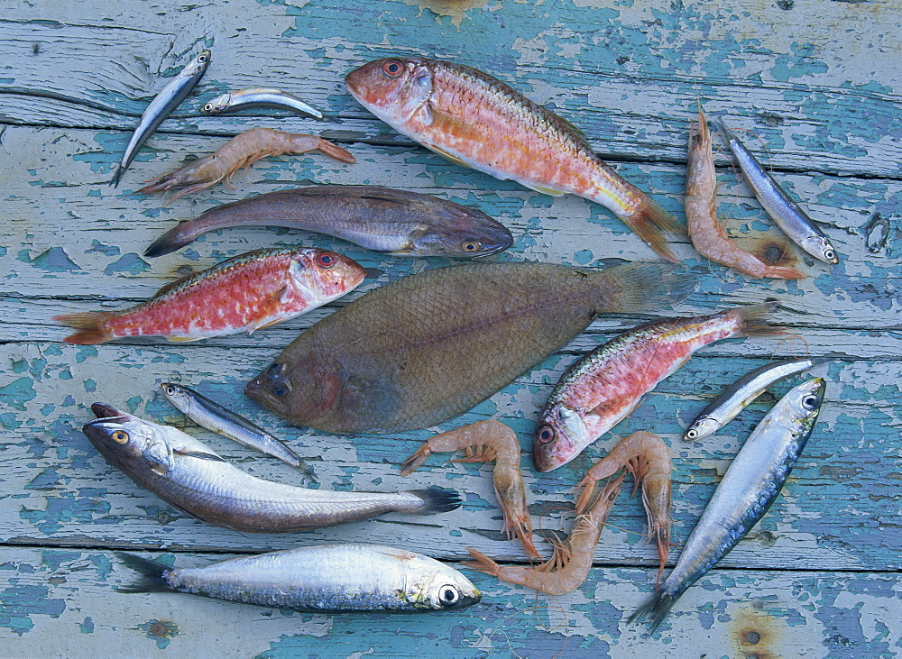 High angle view of still life of a selection of fish, prawns and other seafood from the Mediterranean, on a blue wooden table, Andalucia (Andalusia), Spain, Europe