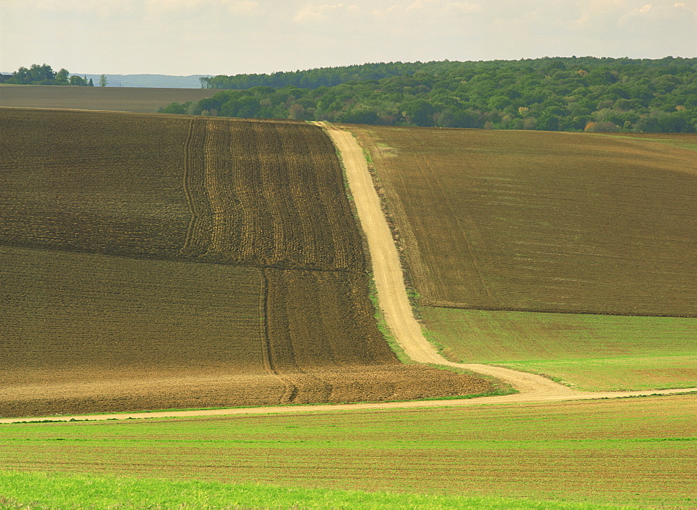 Landscape of ploughed fields and track through farmland near Chablis in Burgundy, France, Europe