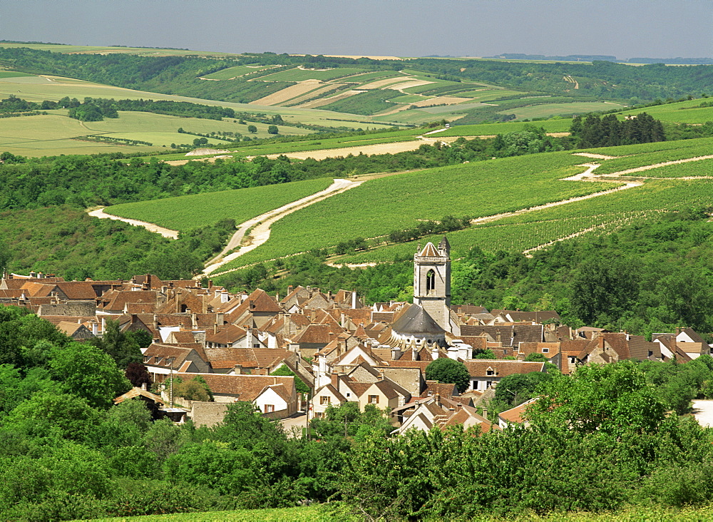 Village of Irancy, Burgundy, France, Europe