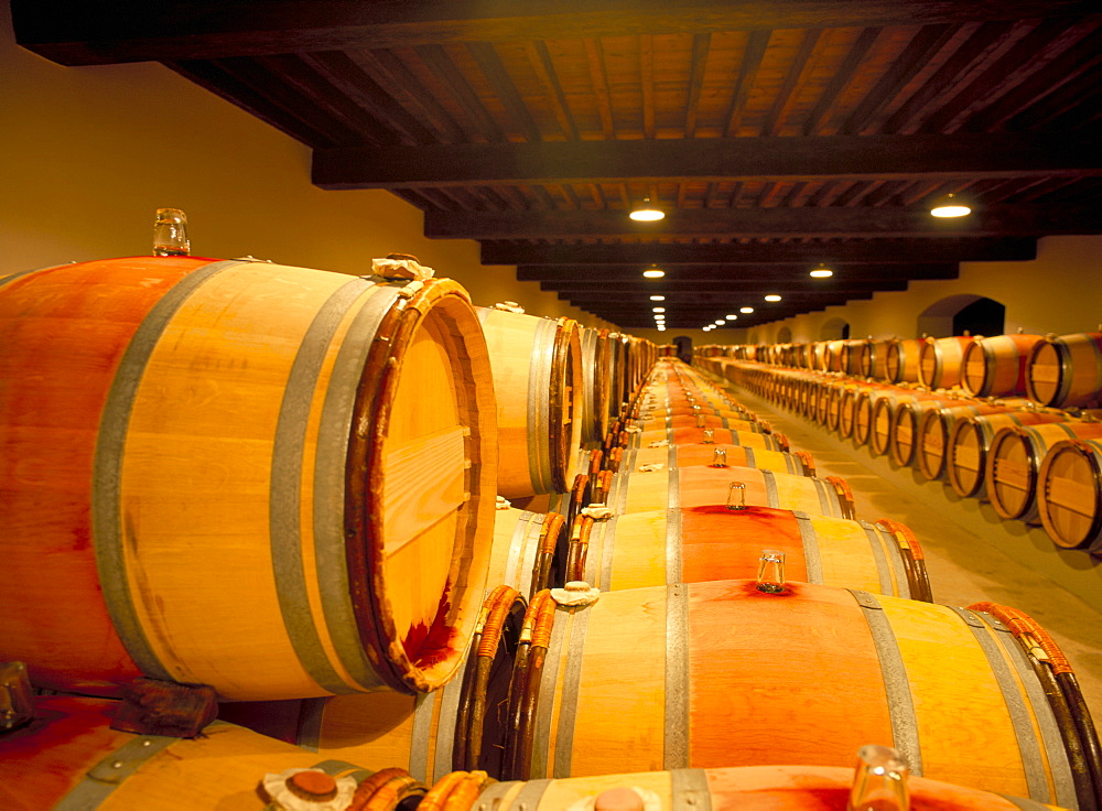 Cellars of Chateau Lynch Bages, Pauillac, Aquitaine, France, Europe