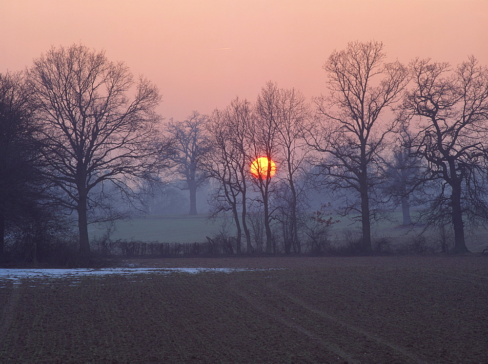 Sunset over farmland and bare trees in silhouette in winter in the Medway Valley near Tonbridge, Kent, England, United Kingdom, Europe