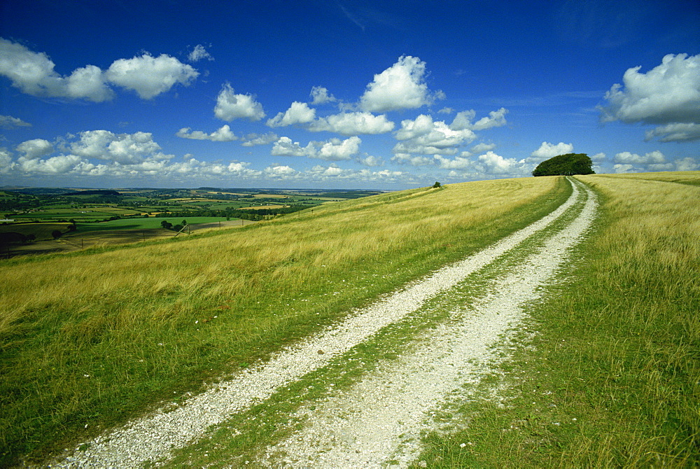 Landscape near Win Green, Shaftesbury, Wiltshire, England, United Kingdom, Europe