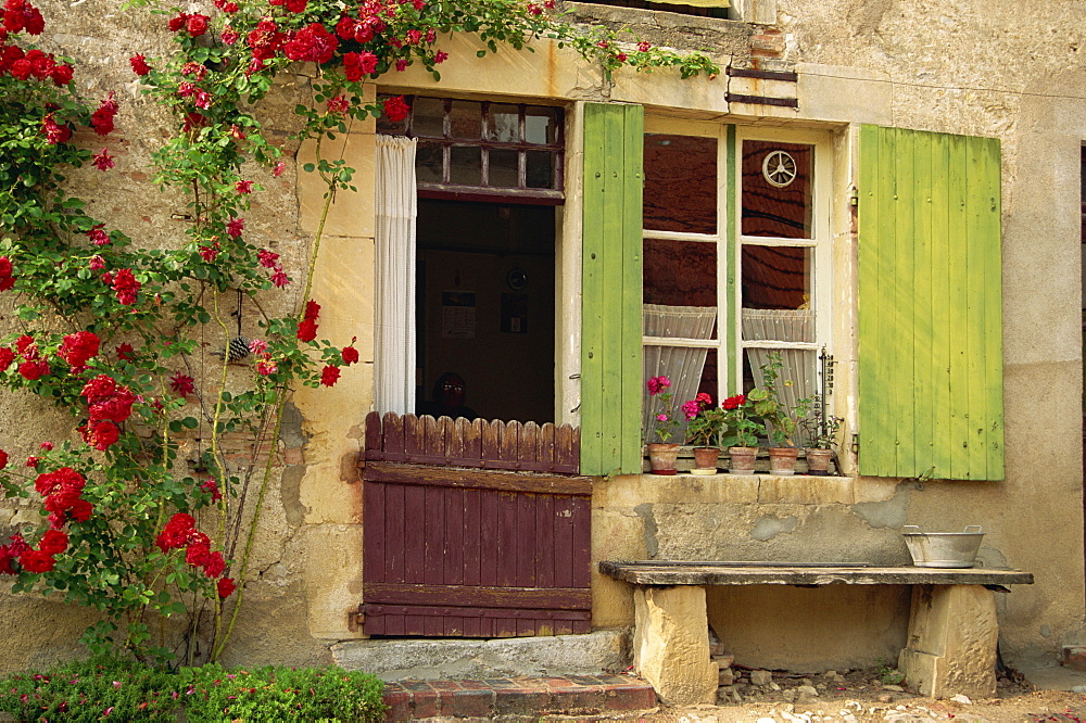 Close-up of the exterior of a house with green shutters, pot plants and red roses beside the door, in the Nevre Region of Burgundy, France, France