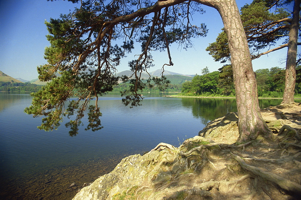 Derwentwater, Lake District National Park, Cumbria, England, United Kingdom, Europe