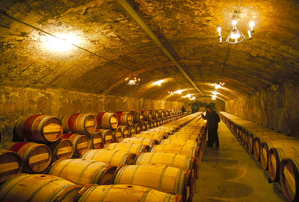 The cellars, Chateau Lafitte Rothschild, Pauillac, Gironde, France, Europe