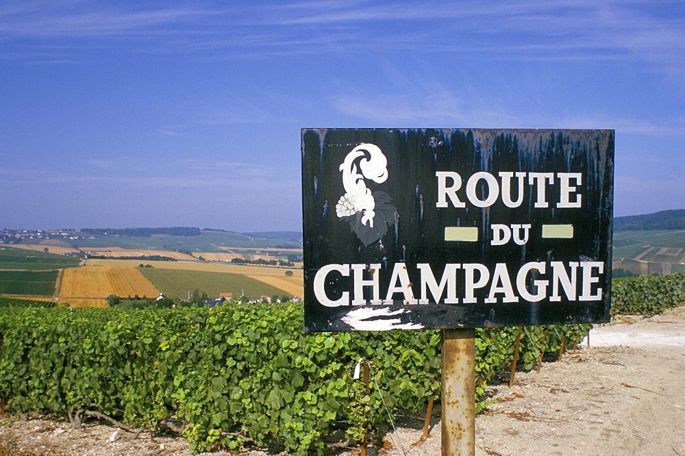 Route du Champagne sign, near Epernay, Marne, Champagne Ardenne, France, Europe