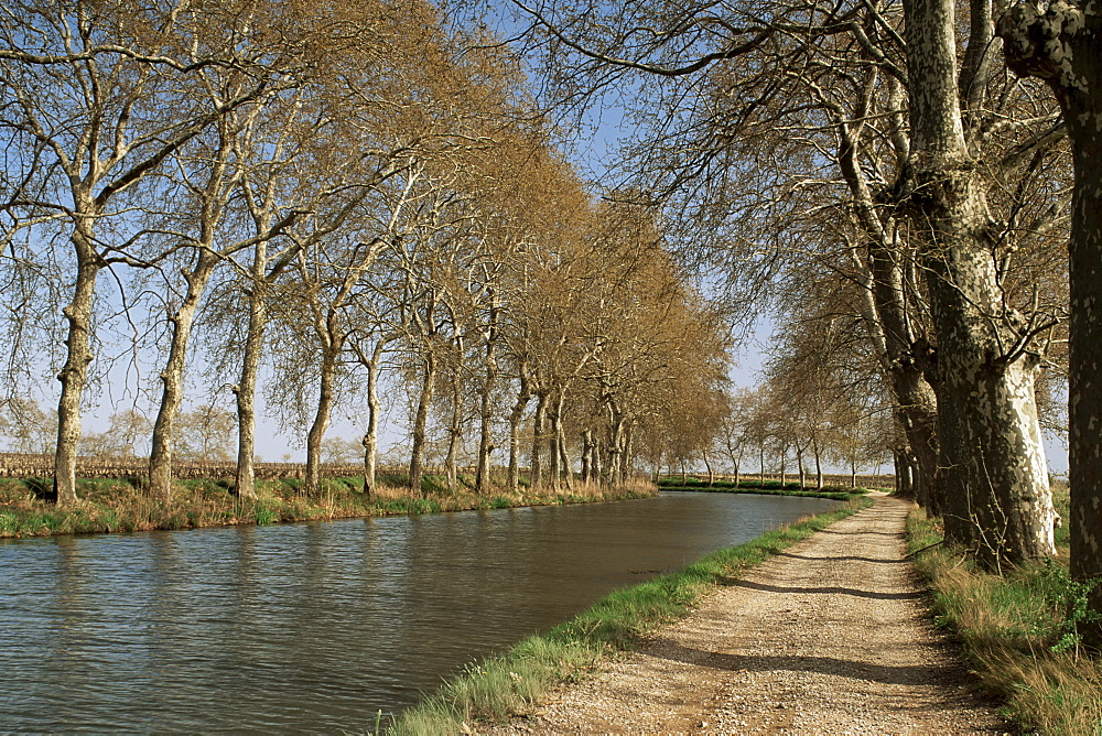 Canal du Midi, near Capestang, Languedoc-Roussillon, France, Europe