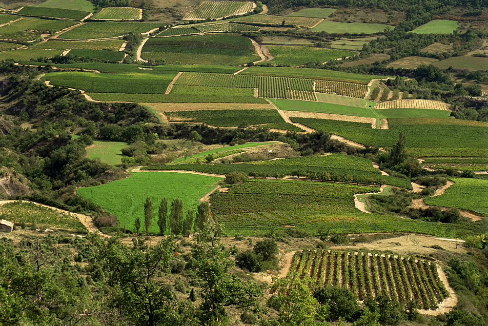 Valley of Valvigneres, Ardeche, Rhone Alpes, France, Europe