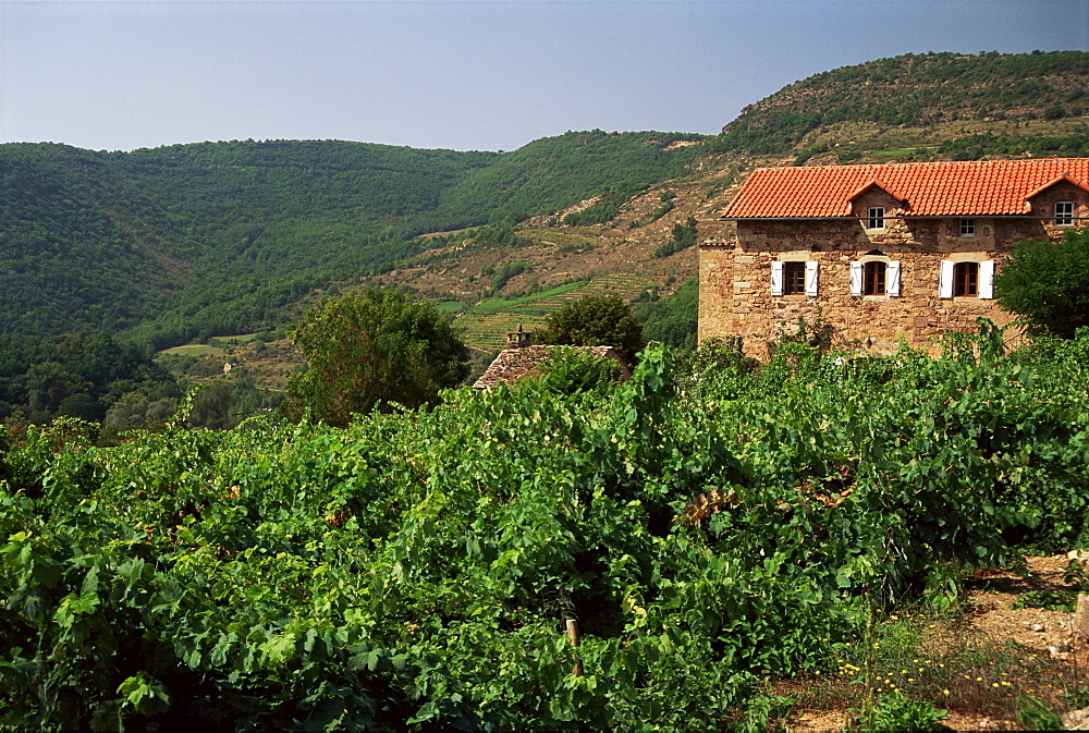 Farmhouse near Millau, Aveyron, Midi Pyrenees, France, Europe