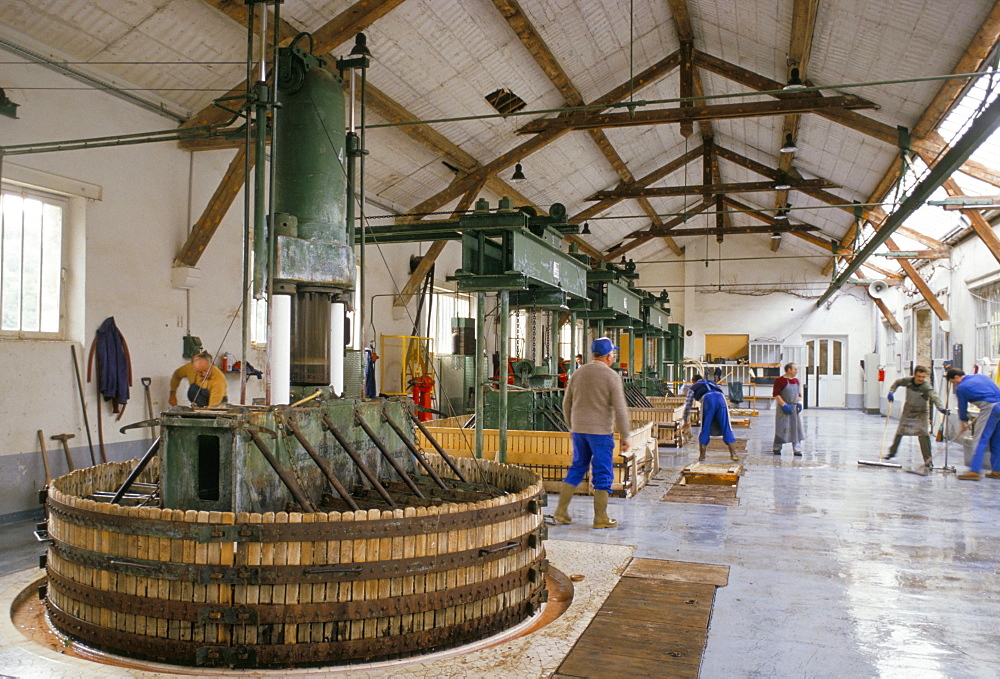 Champagne wine presses, Verzy, Champagne Ardennes, France, Europe