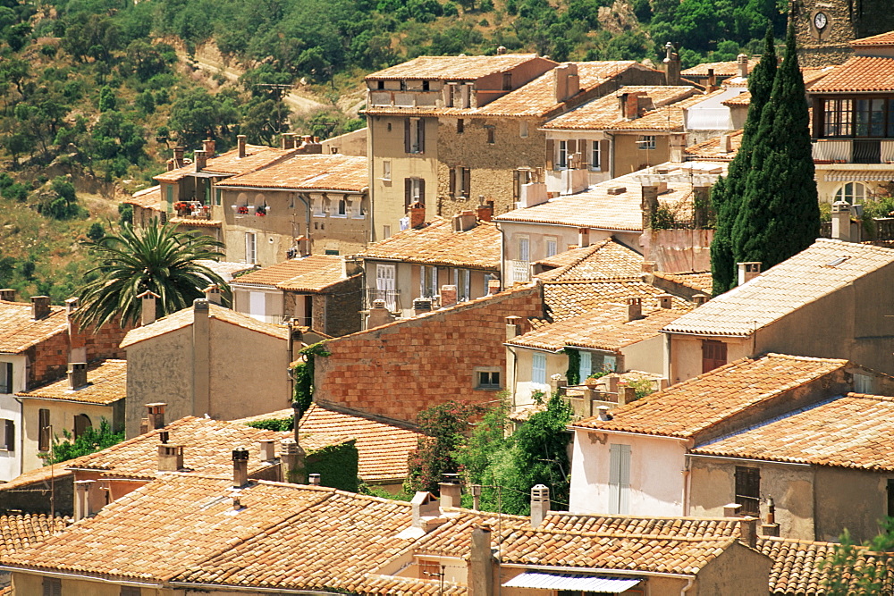 Bormes les Mimosas, Var, Provence, France, Europe