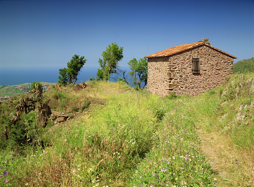 Landscape near Collioure and a small stone building, in Languedoc Roussillon, France, Europe