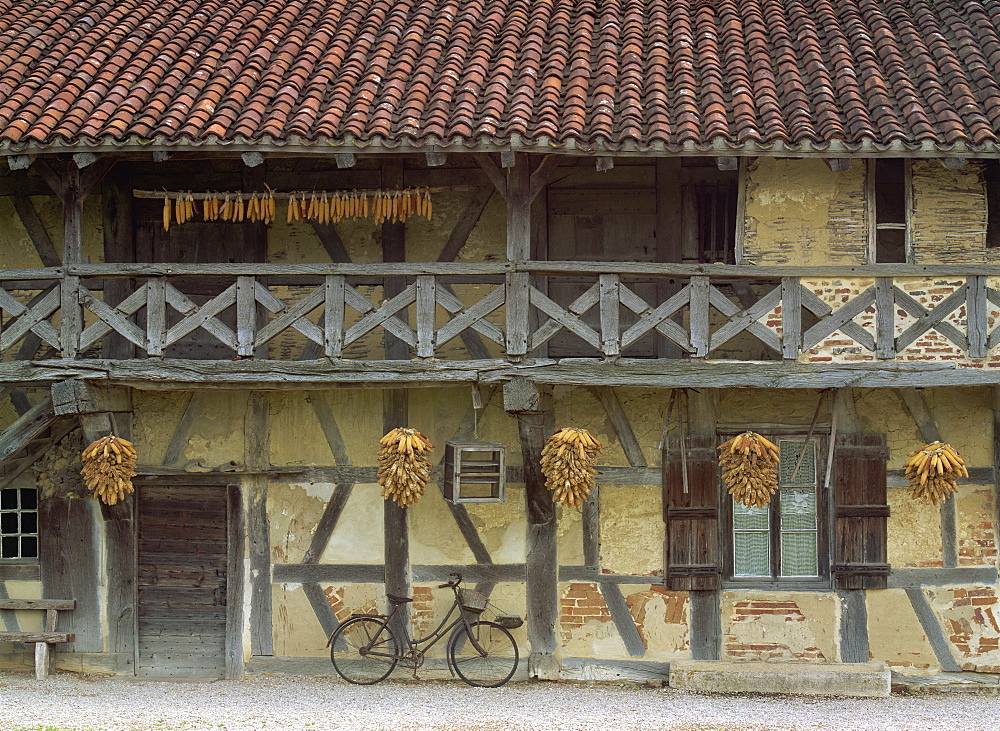 Timbered house with verandah, with maize bundles hanging to dry, and a bicycle parked outside in Ferme de la Foret near Bresse, Ain, Rhone Alpes, France, Europe