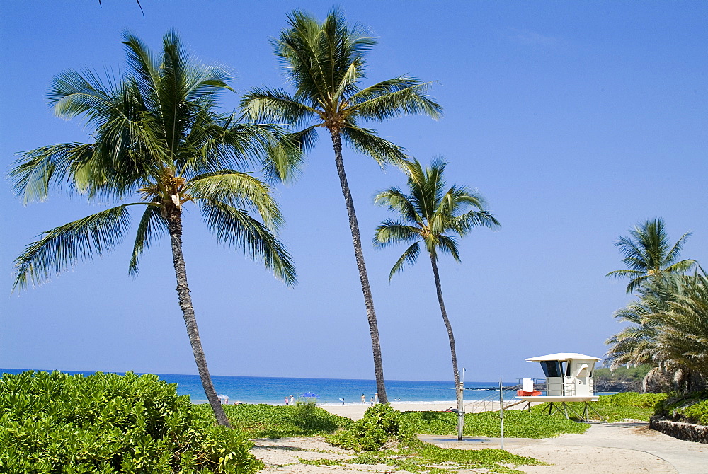 Hapuna Beach, Island of Hawaii (Big Island), Hawaii, United States of America, Pacific, North America