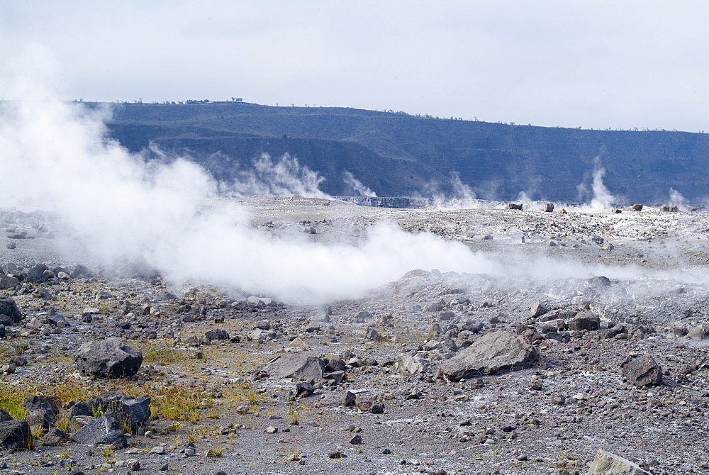 Kilauea thermal area, Hawaii Volcanoes National Park, UNESCO World Heritage Site, Island of Hawaii (Big Island), Hawaii, United States of America, North America