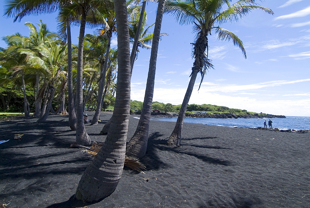 Punaluu Black Sand Beach, Island of Hawaii (Big Island), Hawaii, United States of America, Pacific, North America