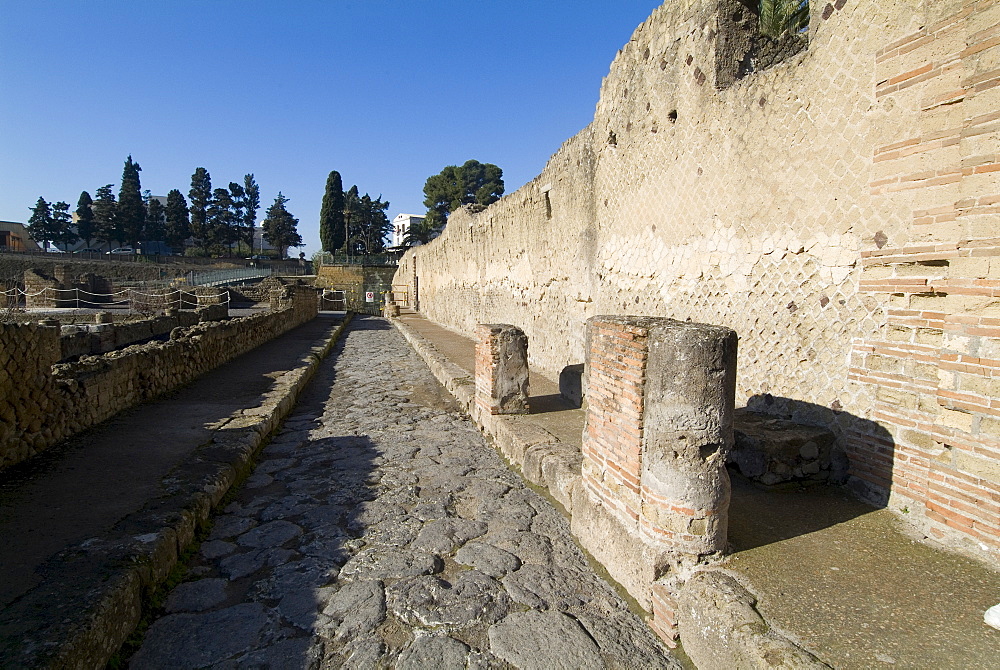 The ruins of Herculaneum, a large Roman town destroyed in 79AD by a volcanic eruption from Mount Vesuvius, UNESCO World Heritage Site, near Naples, Campania, Italy, Europe