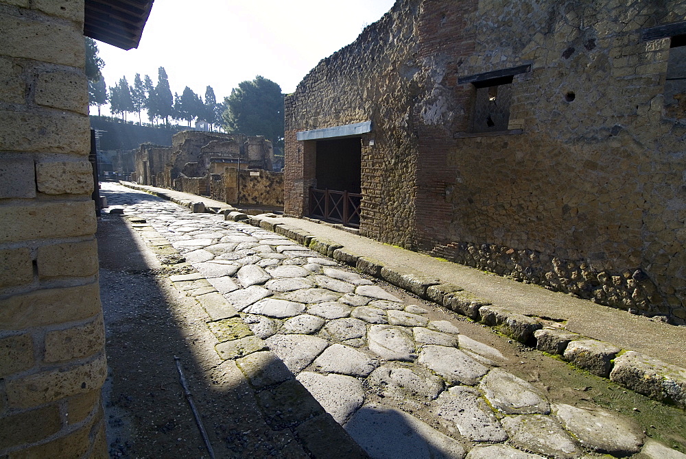 The ruins of Herculaneum, a large Roman town destroyed in 79AD by a volcanic eruption from Mount Vesuvius, UNESCO World Heritage Site, near Naples, Campania, Italy, Europe