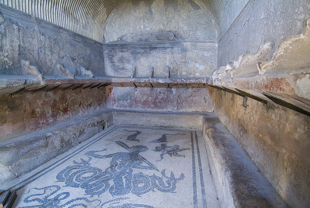 Bath house mosaic from Herculaneum, a large Roman town destroyed in 79AD by a volcanic eruption from Mount Vesuvius, UNESCO World Heritage Site, near Naples, Campania, Italy, Europe