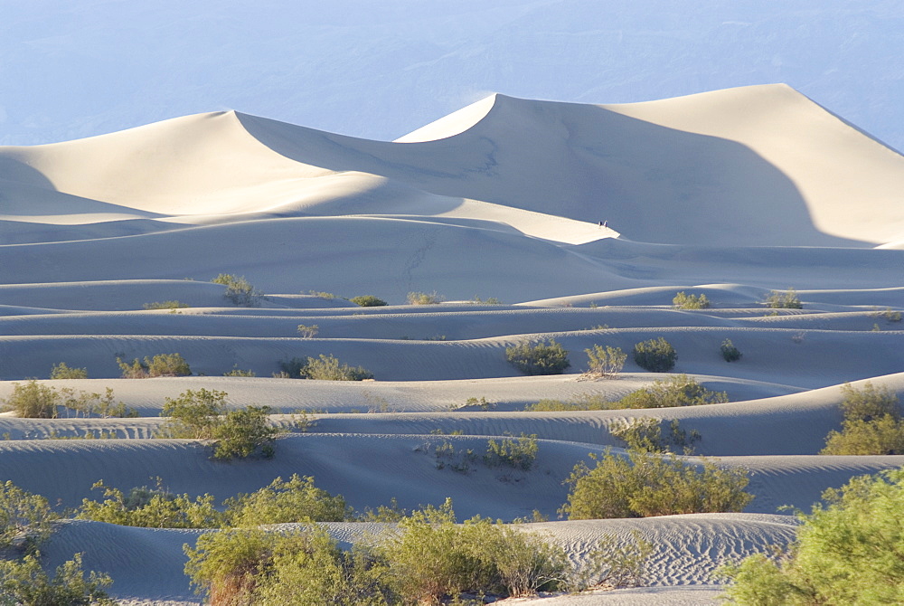 Sand dunes near Stovepipe Wells, Death Valley National Park, California, United States of America, North America