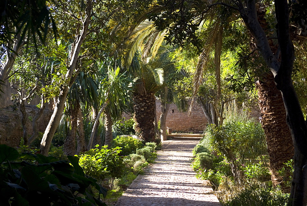 Gardens in the fortress of Chellah, near the Roman site of Sala Colonia, Rabat, Morocco, North Africa, Africa