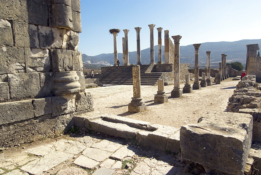 Forum, Roman site of Volubilis, UNESCO World Heritage Site, Morocco, North Africa, Africa