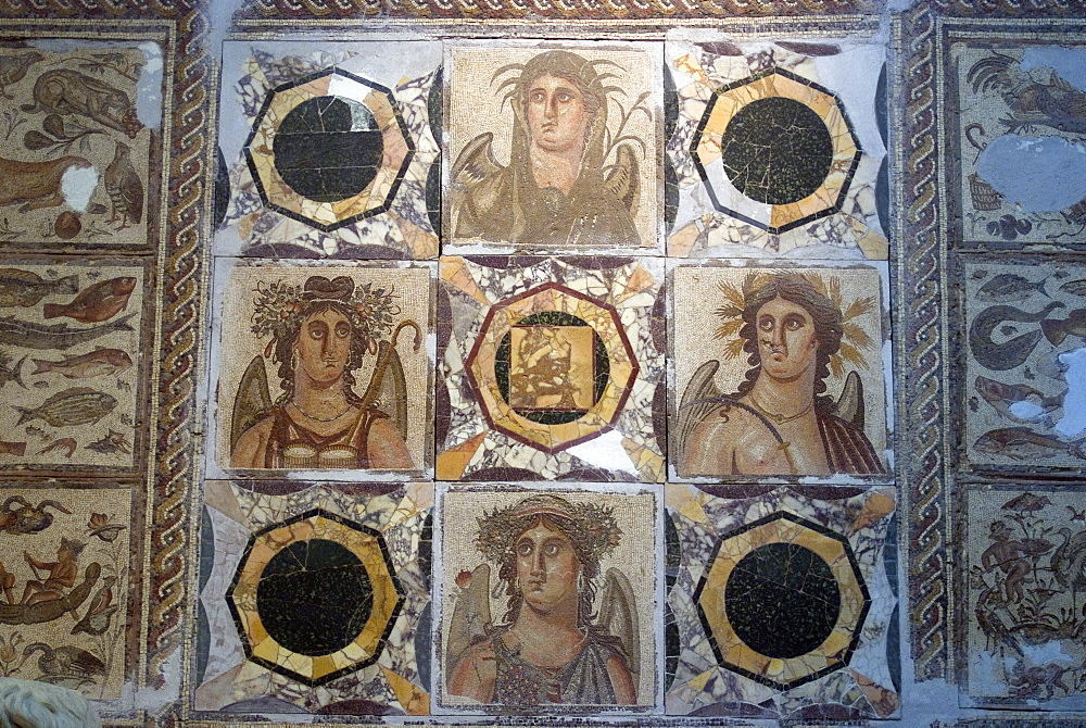 Mosaic from one of the Roman sites in Libya, Jamahiriya Museum, Tripoli, Libya, North Africa, Africa