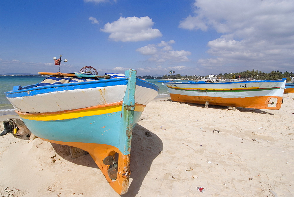 Fishing boats, Hammamet, Tunisia, North Africa, Africa