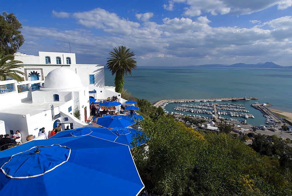 Sidi Bou Said, near Tunis, Tunisia, North Africa, Africa