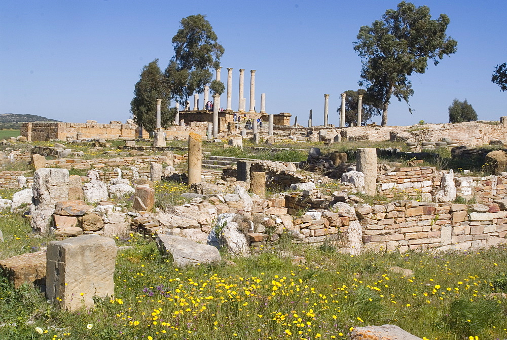 Capitolium (Temple to the three main gods), Roman ruin of Thuburbo Majus, Tunisia, North Africa, Africa