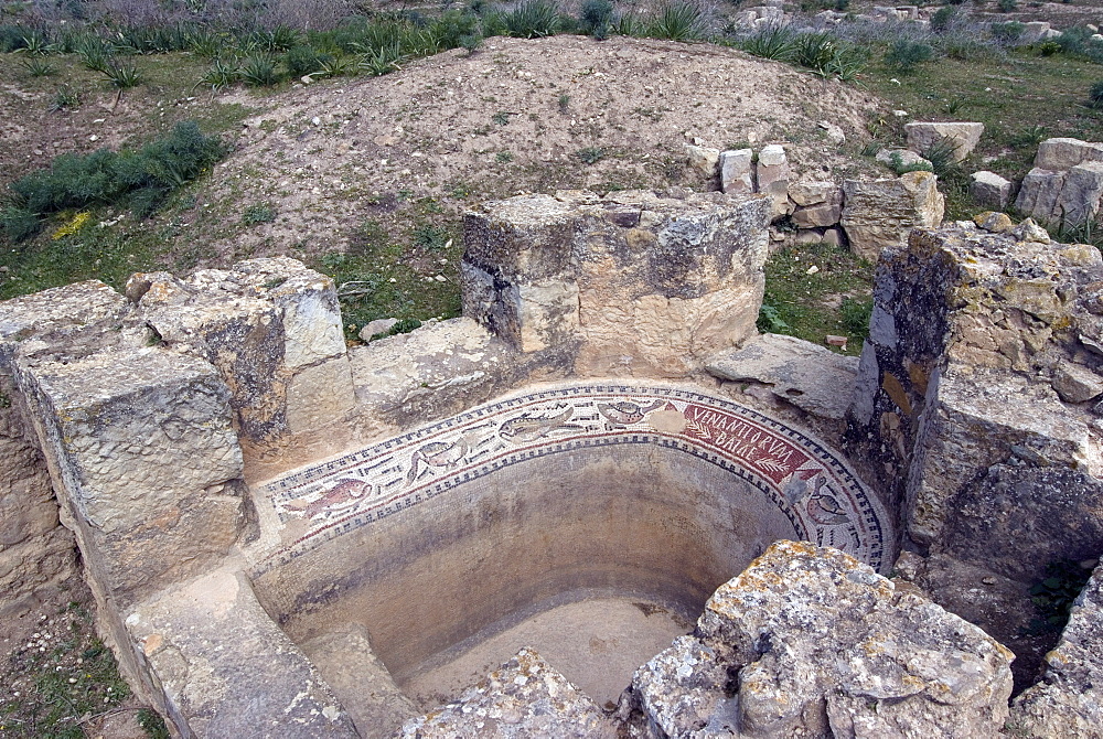 Bath (for pleasure), House of Amphitrite, Roman ruins of Bulla Regia, Tunisia, North Africa, Africa