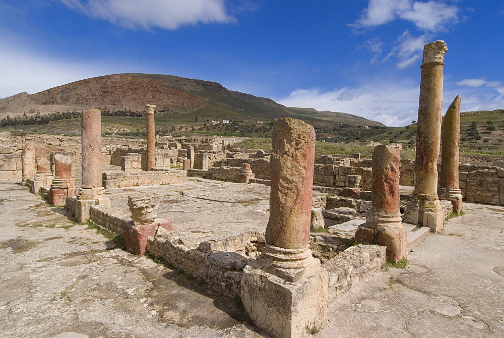 House of the Hunt, Roman ruins of Bulla Regia, Tunisia, North Africa, Africa