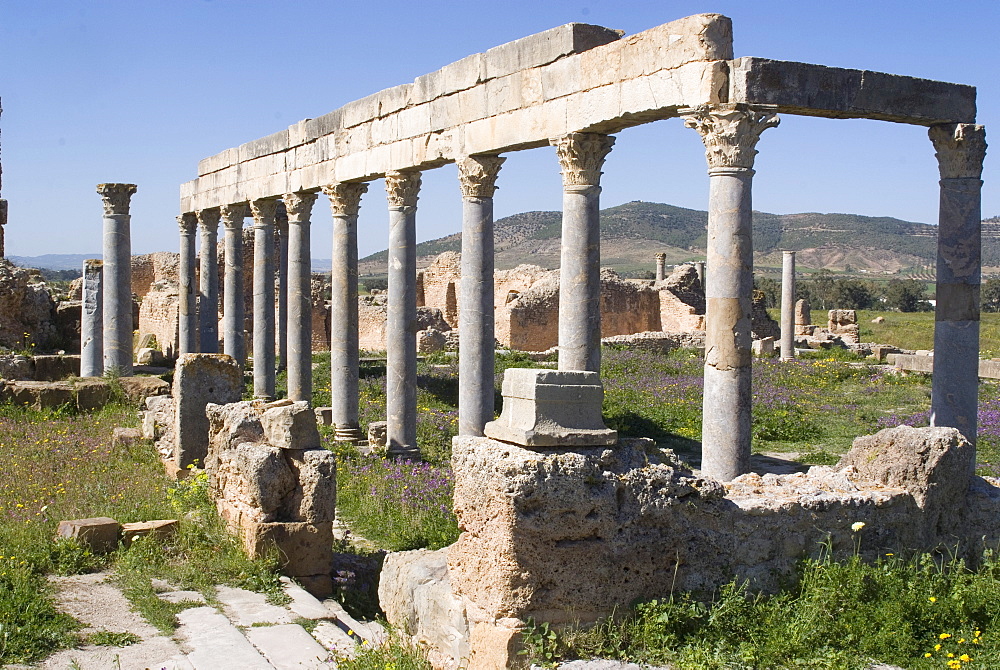 Palaestra, Greco-Roman gymnasium, Roman site of Thuburbo Majus, Tunisia, North Africa, Africa