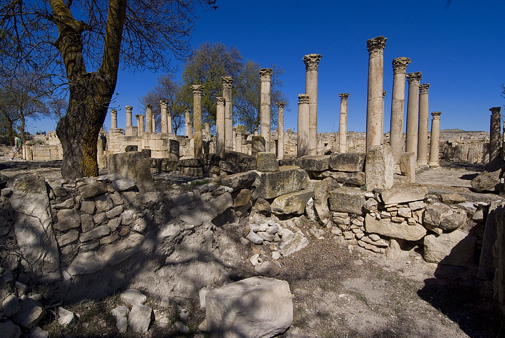 School for youths, Roman site of Makhtar, Tunisia, North Africa, Africa